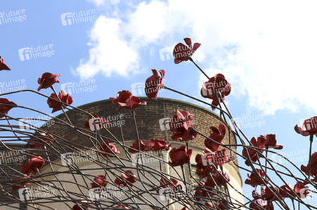 Poppy Installation am Tower, London