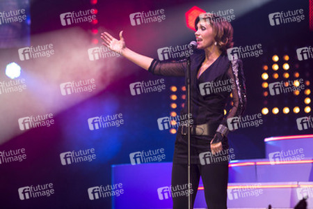 Die große Schlager-Starparade 2014, Erfurt