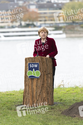 Anglea Merkel pflanzt Baumdenkmal, Bonn
