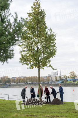 Anglea Merkel pflanzt Baumdenkmal, Bonn