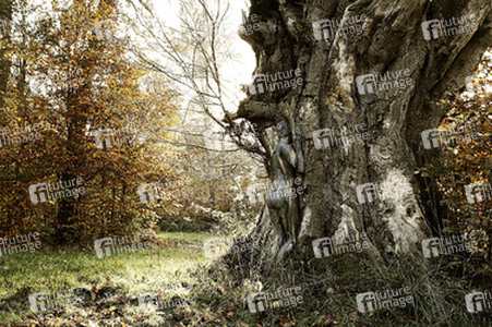 Herbst / Autumn Bodypainting