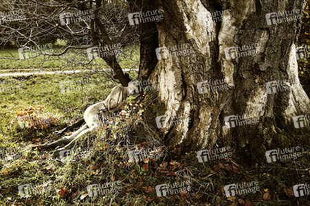 Herbst / Autumn Bodypainting