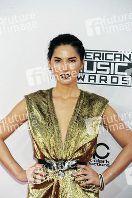 American Music Awards 2014, Los Angeles