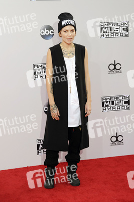American Music Awards 2014, Los Angeles