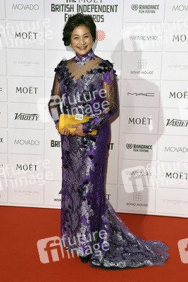 British Independent Film Awards 2014, London