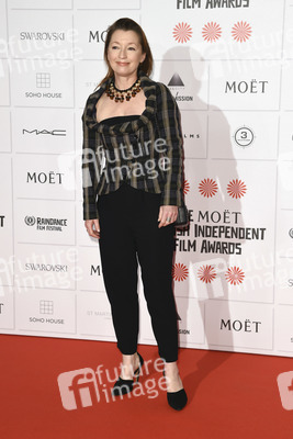 British Independent Film Awards 2014, London