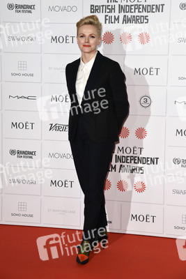 British Independent Film Awards 2014, London
