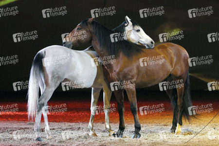 Apassionata Show 'Die goldene Spur', Dortmund