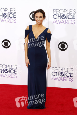41. People's Choice Awards, Los Angeles
