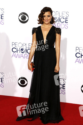 41. People's Choice Awards, Los Angeles