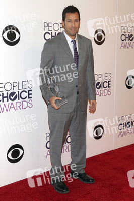 41. People's Choice Awards, Los Angeles