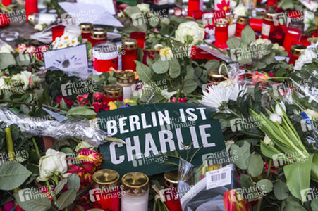 Mahnwache für die Pariser Terroropfer, Berlin
