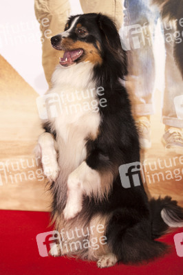 'Fünf Freunde 4' Premiere, München