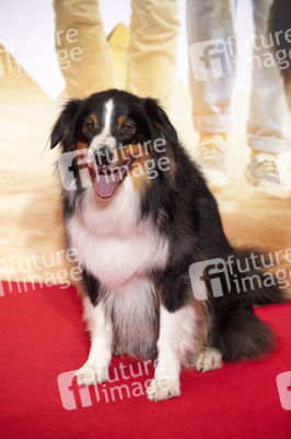 'Fünf Freunde 4' Premiere, München