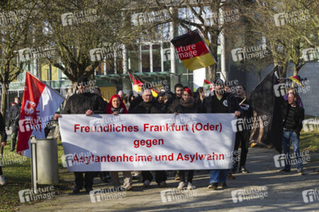 Neonazi Demonstration gegen Flüchtlingsheime, Frankfurt/Oder