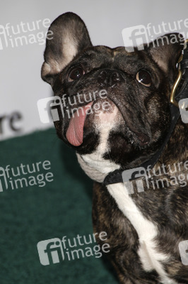 The US-Ireland Alliance Pre-Academy Awards Honors Event, Santa Monica