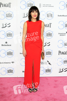Film Independent Spirit Awards 2015, Santa Monica