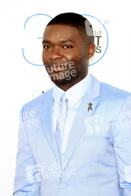 Film Independent Spirit Awards 2015, Santa Monica