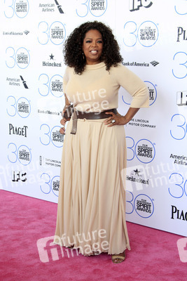 Film Independent Spirit Awards 2015, Santa Monica
