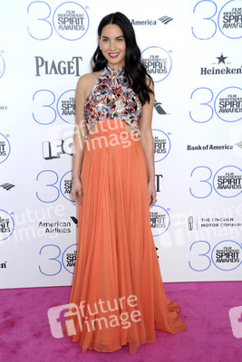 Film Independent Spirit Awards 2015, Santa Monica