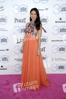 Film Independent Spirit Awards 2015, Santa Monica