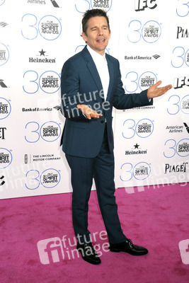 Film Independent Spirit Awards 2015, Santa Monica