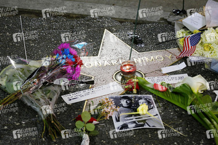Blumen auf dem Stern von Leonard Nimoy, Hollywood