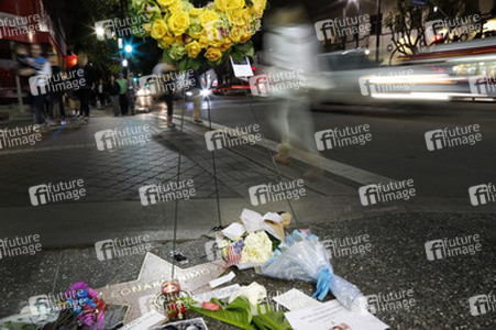 Blumen auf dem Stern von Leonard Nimoy, Hollywood