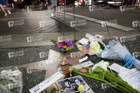 Blumen auf dem Stern von Leonard Nimoy, Hollywood