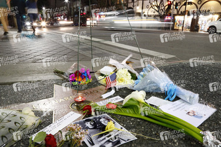 Blumen auf dem Stern von Leonard Nimoy, Hollywood