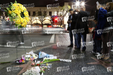 Blumen auf dem Stern von Leonard Nimoy, Hollywood