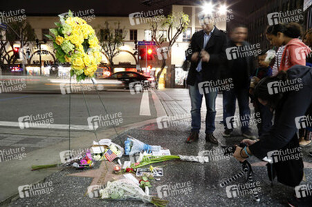 Blumen auf dem Stern von Leonard Nimoy, Hollywood