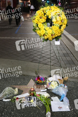 Blumen auf dem Stern von Leonard Nimoy, Hollywood