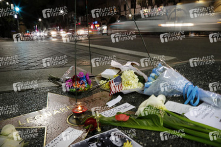 Blumen auf dem Stern von Leonard Nimoy, Hollywood