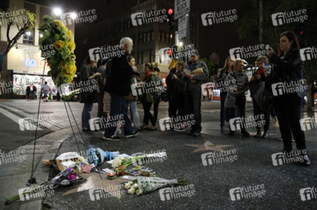 Blumen auf dem Stern von Leonard Nimoy, Hollywood