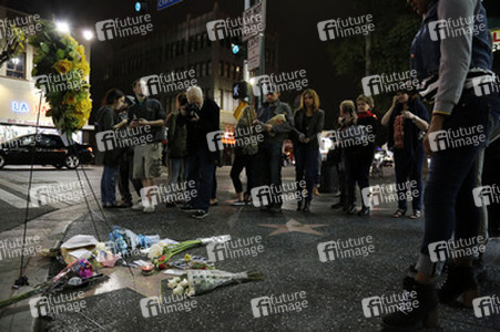 Blumen auf dem Stern von Leonard Nimoy, Hollywood