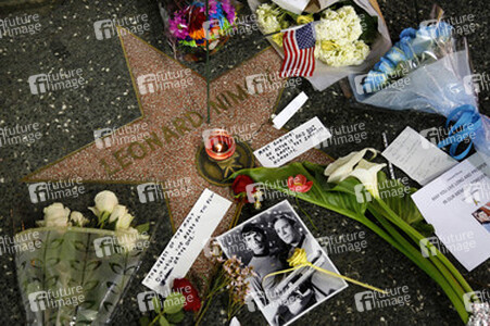 Blumen auf dem Stern von Leonard Nimoy, Hollywood