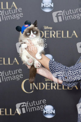 'Cinderella' Premiere, Los Angeles