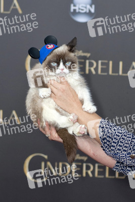 'Cinderella' Premiere, Los Angeles