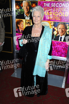 'Best Exotic Marigold Hotel 2' Premiere, New York