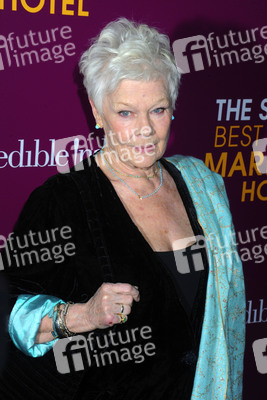 'Best Exotic Marigold Hotel 2' Premiere, New York