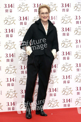 'Into the Woods' Photocall, Tokio