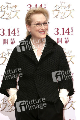 'Into the Woods' Photocall, Tokio