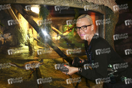 'Abenteuer Schildkröte' Opening im Sea Life, Berlin