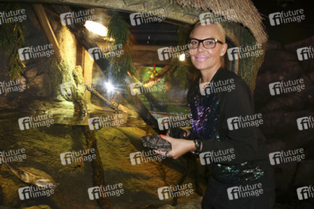 'Abenteuer Schildkröte' Opening im Sea Life, Berlin