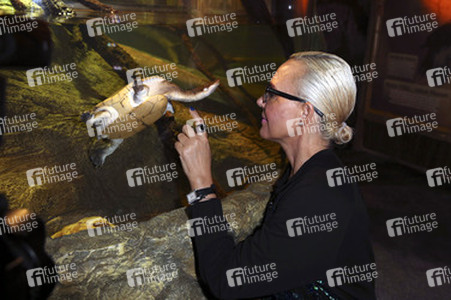 'Abenteuer Schildkröte' Opening im Sea Life, Berlin