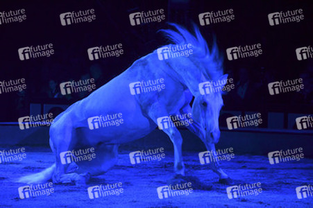 'Evolution' Weltpremiere im Circus Krone, München