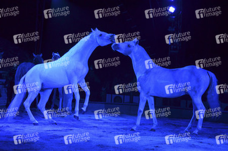 'Evolution' Weltpremiere im Circus Krone, München