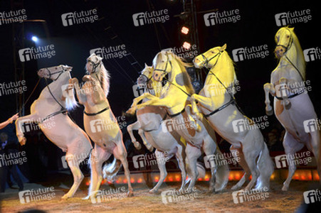 'Evolution' Weltpremiere im Circus Krone, München