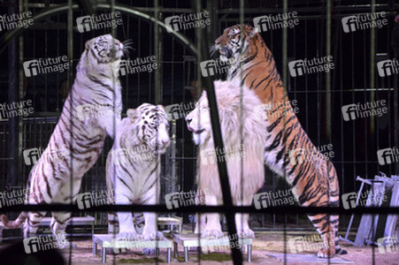 'Evolution' Weltpremiere im Circus Krone, München